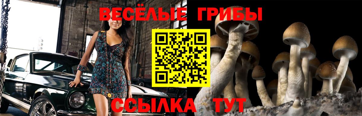 Ленинск-Кузнецкий  Псилоцибиновые грибы Psilocybe  Вход с VPN  Галлюциногенные грибы Cubensis 