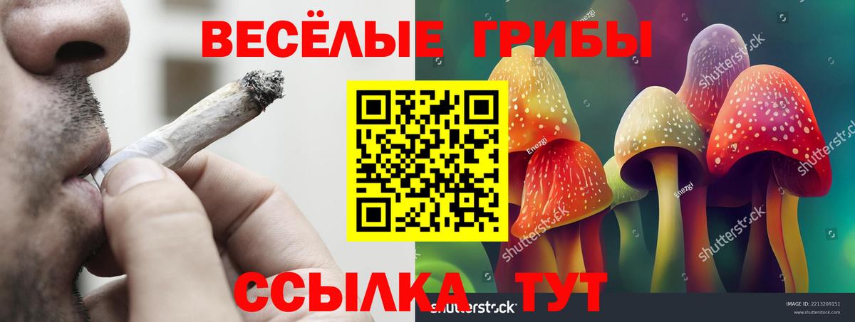 Меф МЯУ МЯУ   Каннабис  Экстази  ГАШИШ  Ленинск-Кузнецкий  Вход с VPN 